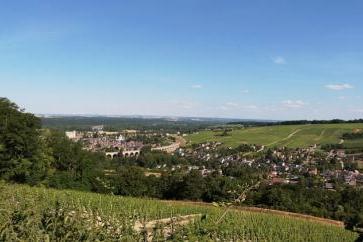 Vins des pays de Loire